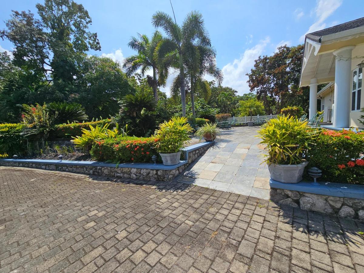Spicy Hill Villa بورت أنطونيو المظهر الخارجي الصورة